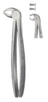 Tooth Forceps for Children 